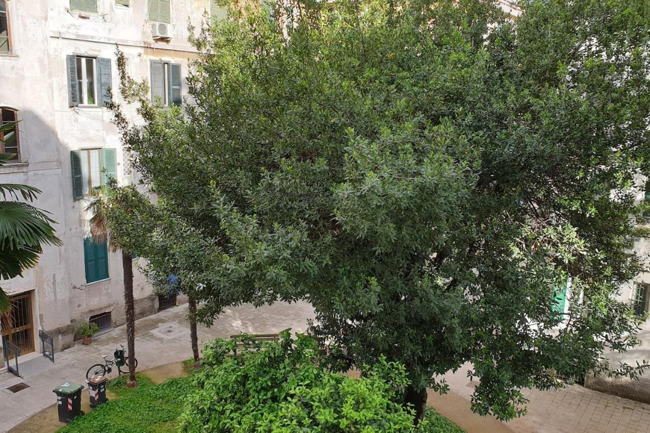 Casa Ferrari Testaccio E Trastevere Wi-Fi Free Ρώμη Εξωτερικό φωτογραφία